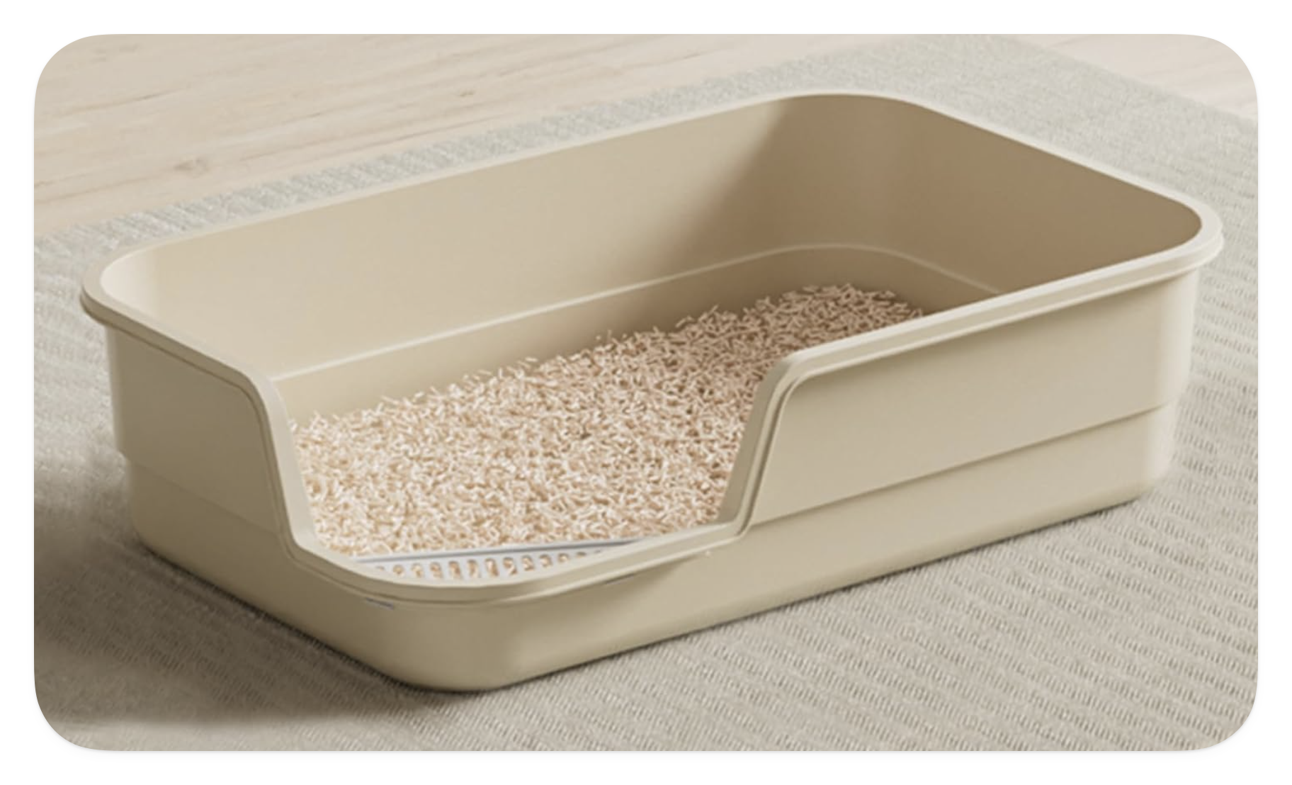 LoopTime low-entry, high-sided litter box
