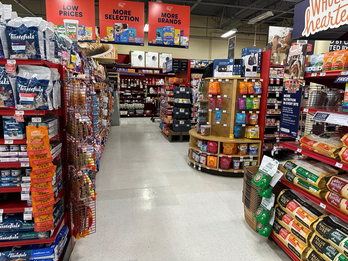 The Essential Guide to Supplies and Toys for Your New Cat