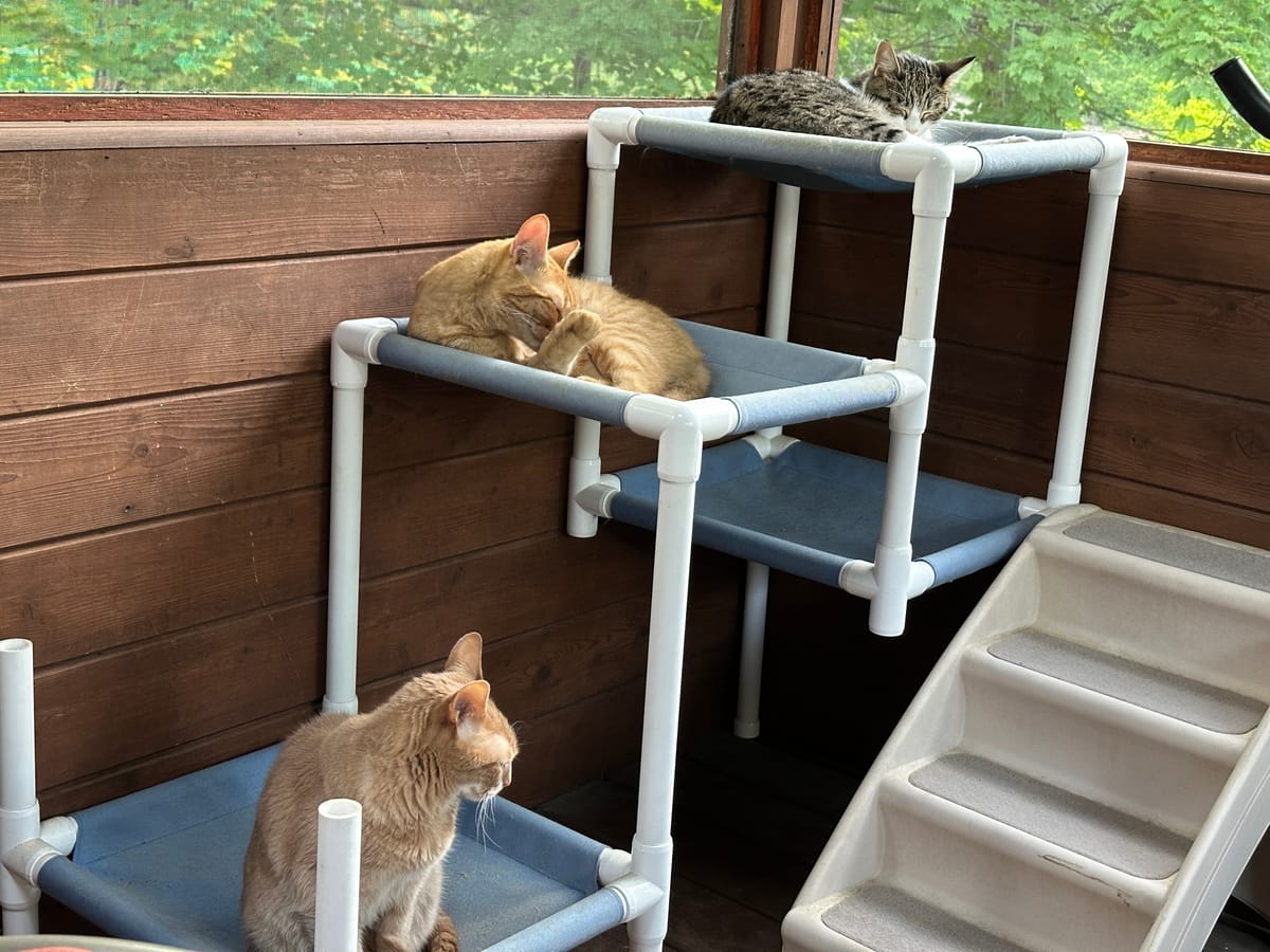 Meet the Staff
